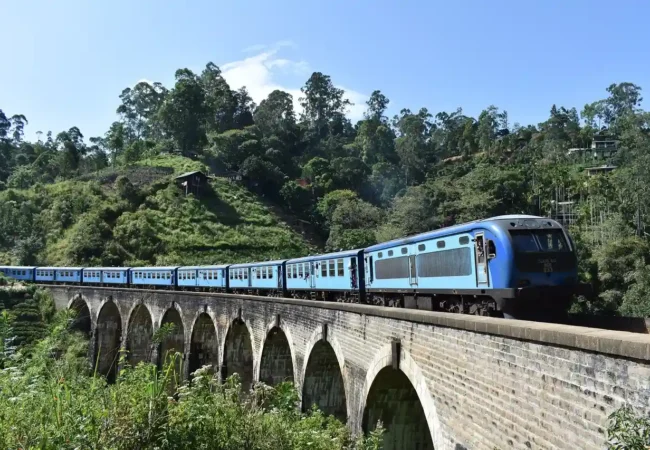 Experience the Essence of Sri Lanka in Kandy, Nuwara Eliya, and Bentota